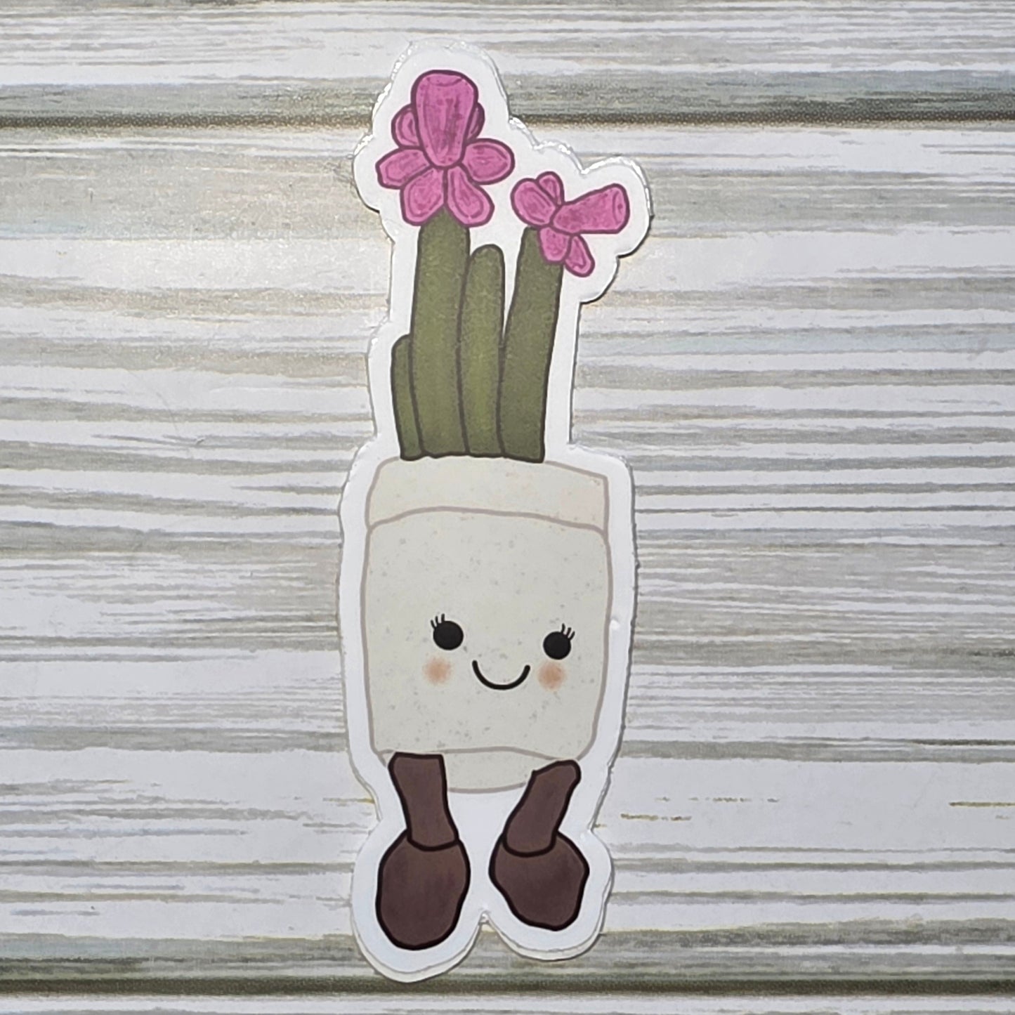 Potted Pink Dahlia with a cute face on the front of the pot, with legs