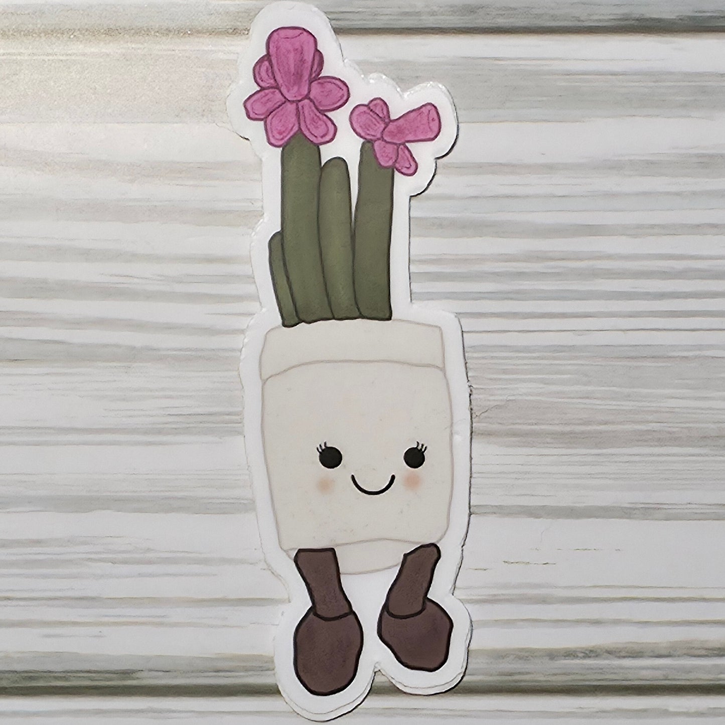 Potted Pink Dahlia with a cute face on the front of the pot, with legs 